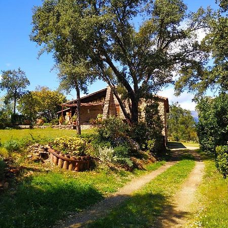 La Simona Casa Rural Perales del Puerto Εξωτερικό φωτογραφία