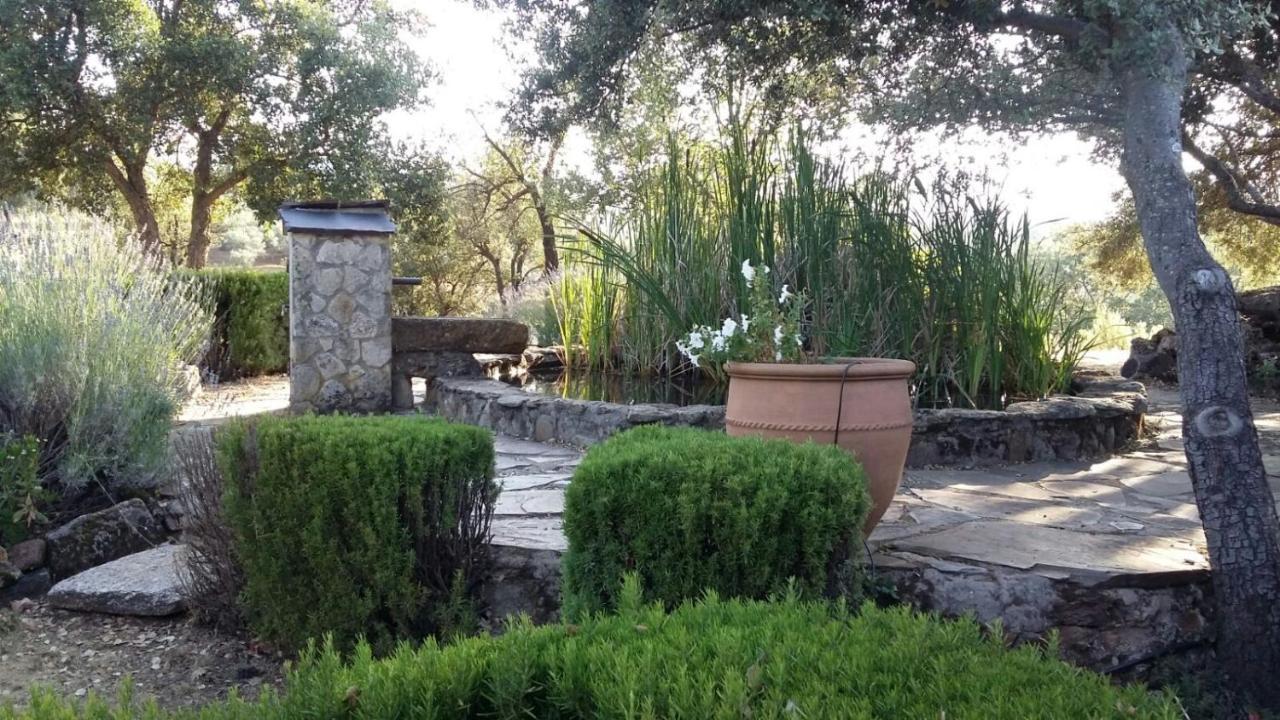 La Simona Casa Rural Perales del Puerto Εξωτερικό φωτογραφία