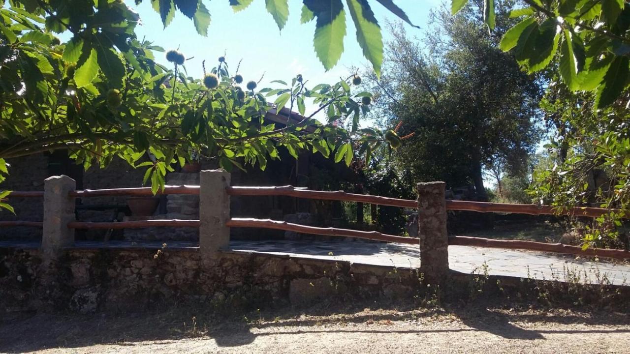 La Simona Casa Rural Perales del Puerto Εξωτερικό φωτογραφία