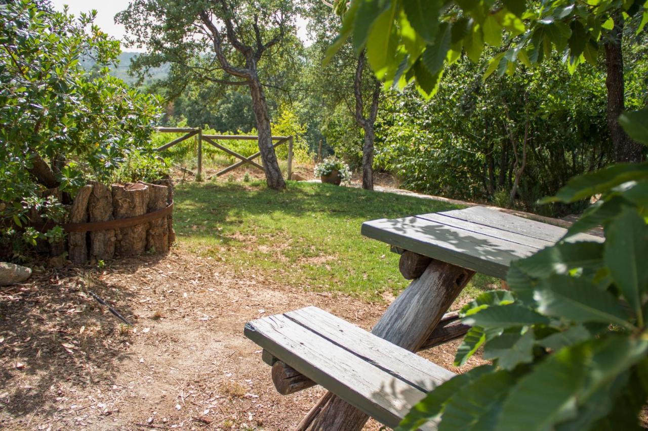 La Simona Casa Rural Perales del Puerto Εξωτερικό φωτογραφία