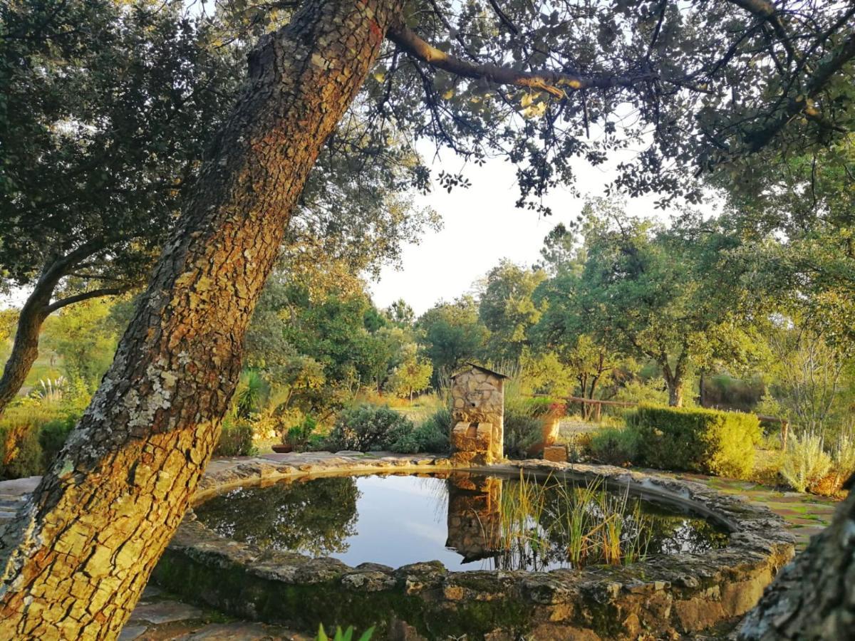 La Simona Casa Rural Perales del Puerto Εξωτερικό φωτογραφία