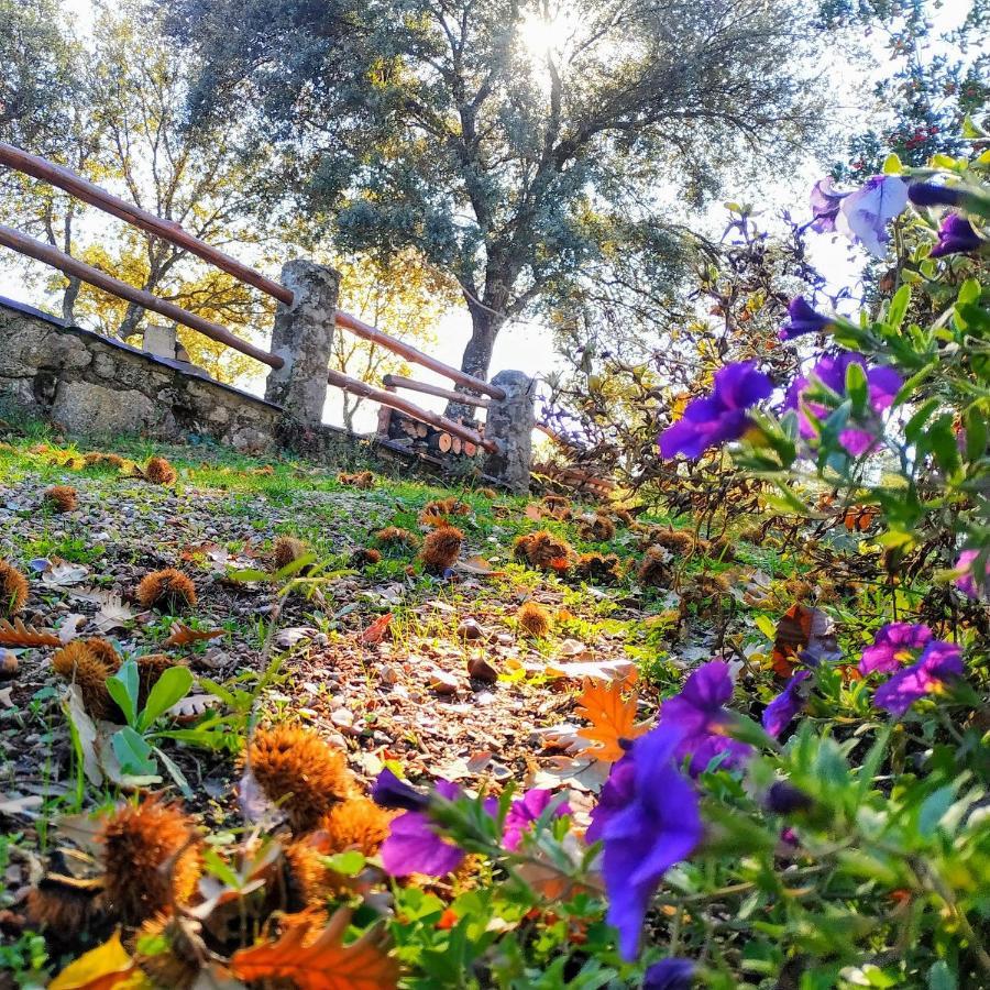 La Simona Casa Rural Perales del Puerto Εξωτερικό φωτογραφία