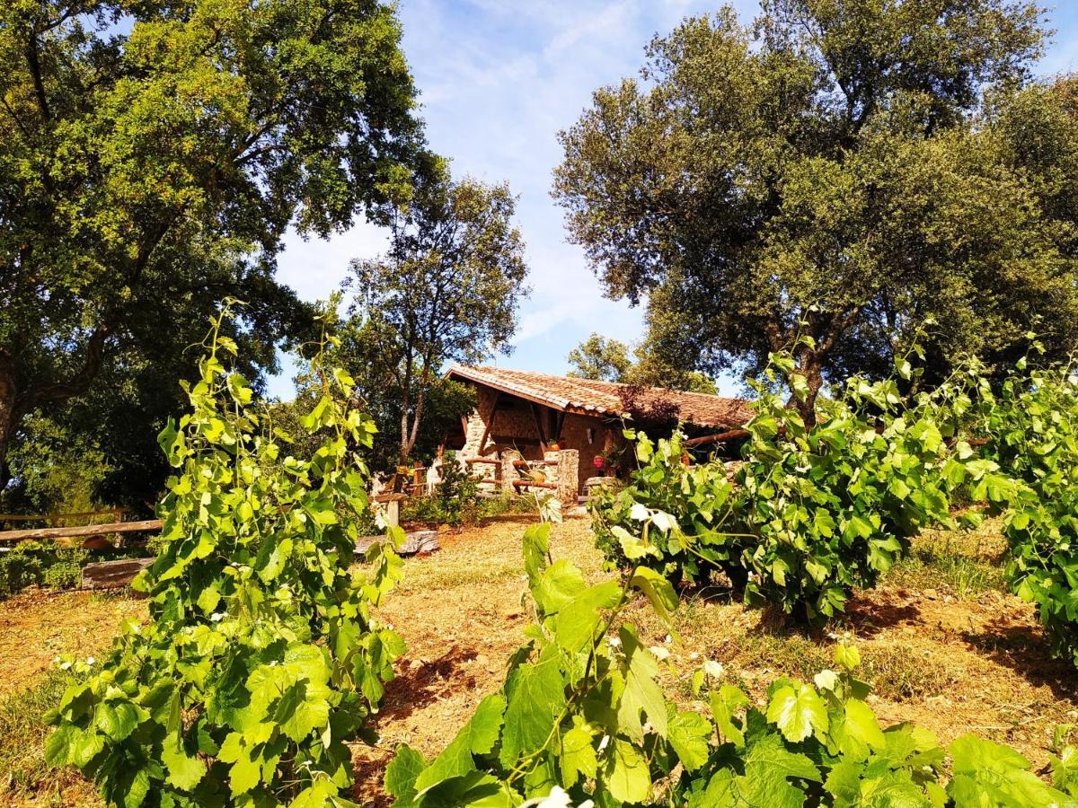La Simona Casa Rural Perales del Puerto Εξωτερικό φωτογραφία
